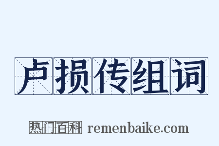 卢损传组词是什么意思的图片